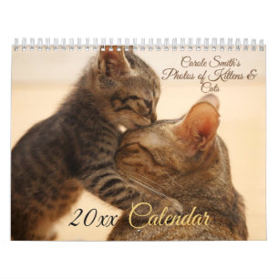 Fotos do Calendário 20XX de Gatinhos