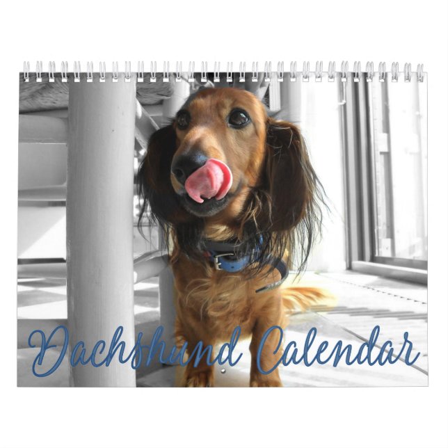 Fotos personalizadas do Calendário Dachshund 2023 (Capa)
