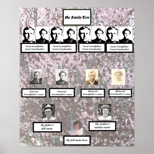 Four Generation Plum Blossom Family Tree Poster (Frente)