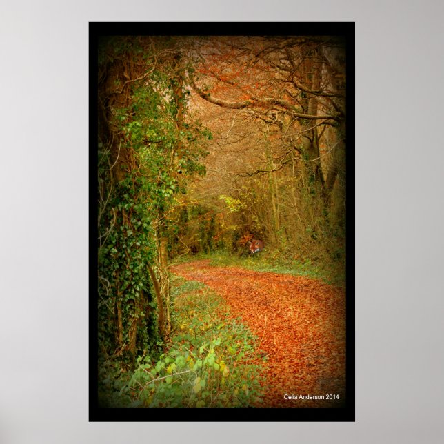 Fox on the Ouro Path Poster ~ Fantasy (Frente)