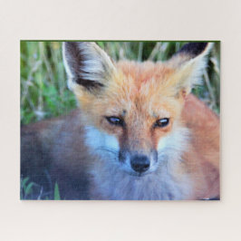 Fox Photo Quebra-cabeça