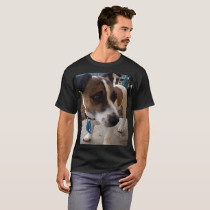 Fox Terrier, Atração Mens T-shirt Negra