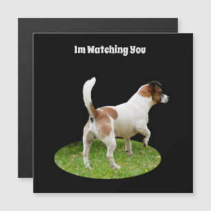Fox Terrier on Guarda Duty, Magnetic Card