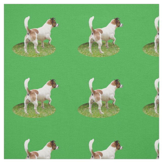 Fox Terrier The Stance, Tecido (Modelo)