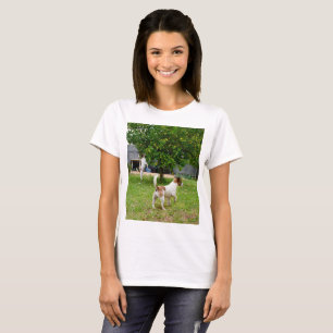 Fox Terriers Playtime, Camiseta Branca das Damas