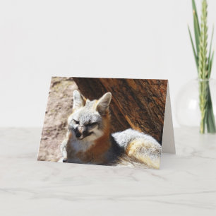 Foxy, Cartão de Saudação de Vazio