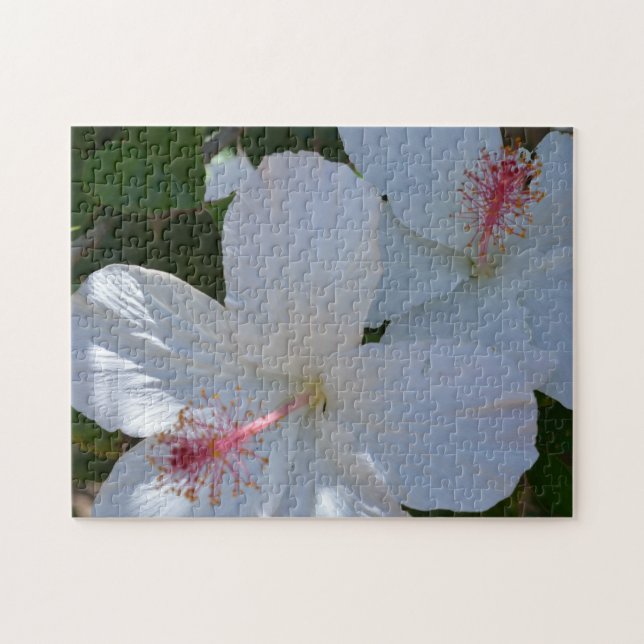 Fragrância Floral Quebra-cabeça (Horizontal)