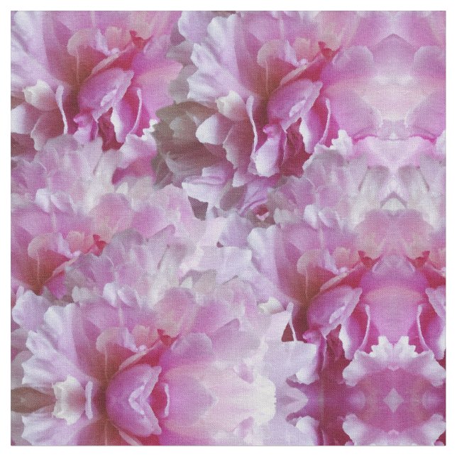 Fragrância, tecido cor-de-rosa das flores (Detalhe)