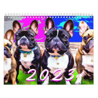 Francês Bulldog Cute Frenchie Calendário Fotográfi