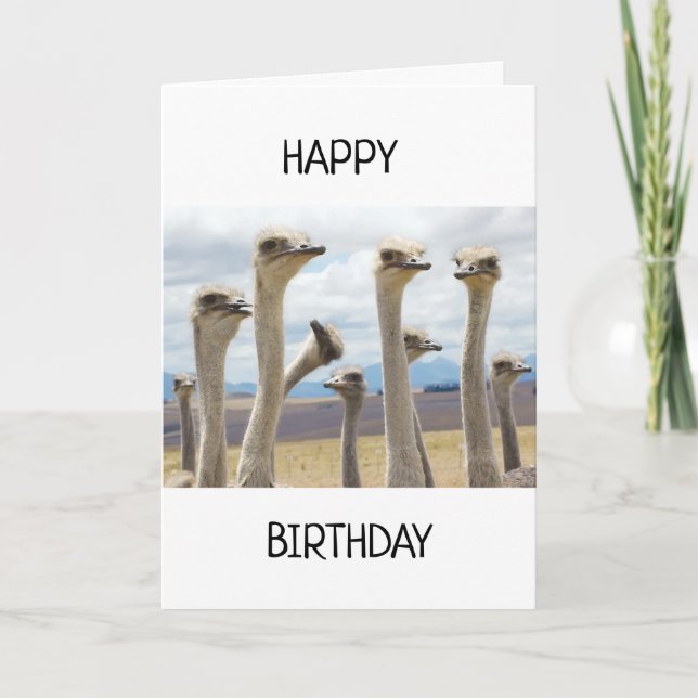 FRANCÊS DE PENA RUFFLADA DIZEM QUE CARTÃO DE ANIVE (Frente)