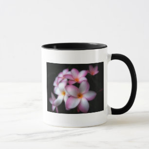 Frangipani na caneca da flor
