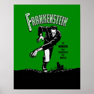 Frankenstein - Poster 11x14 / Canvas Change 2