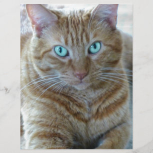 Frankie