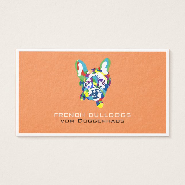 Französische Buldogge Welpe (Frente)