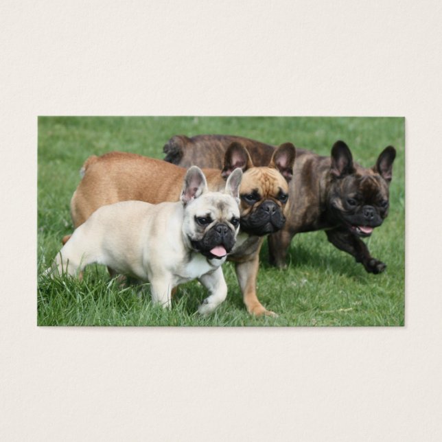 Französische Bulldoggen Visitenkarte (Frente)