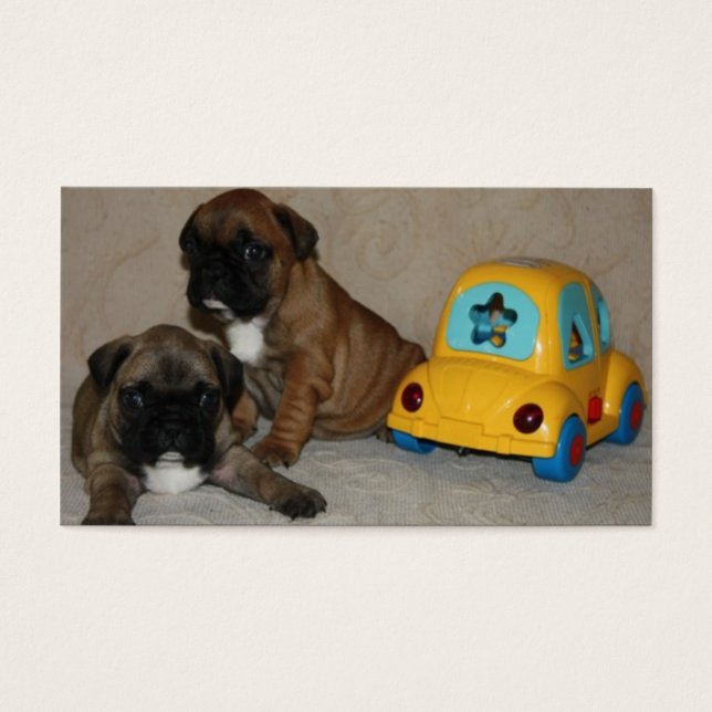 Französische Bulldoggen Visitenkarte (Frente)