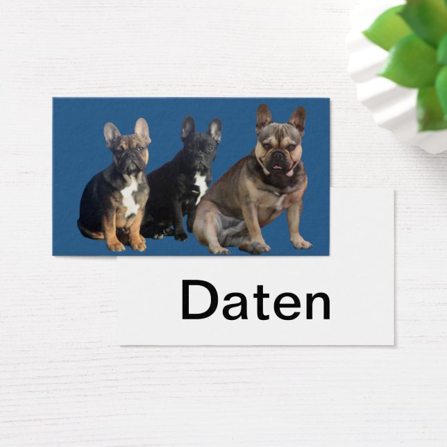 Französische Bulldoggen Visitenkarten (Mesa)