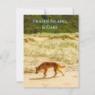 Fraser Island / Cartão postal K'Gari