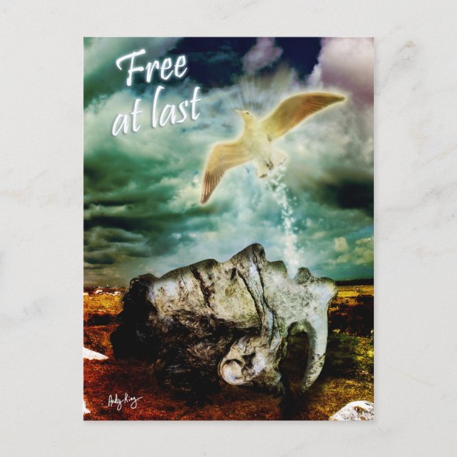 Free at Last - Cartão postal (Frente)