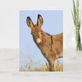 "Free to Roam" - Cartão de Saudação