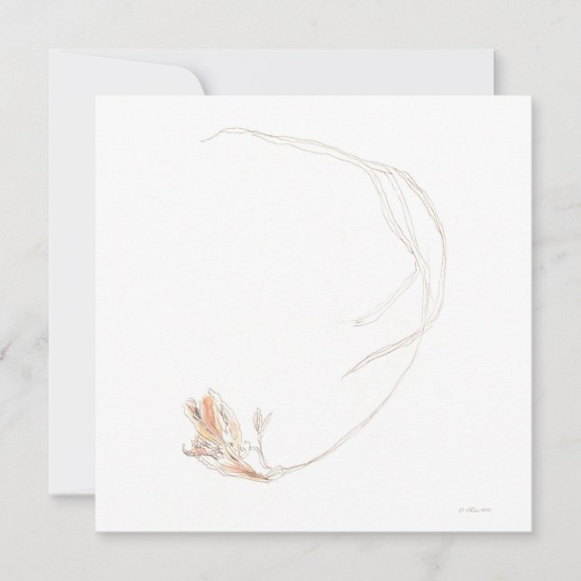 Freesia Seca 1 Cartão Plano (Frente)