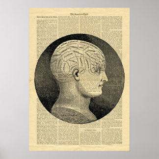 Frenologia da Cabeça Humana poster no jornal