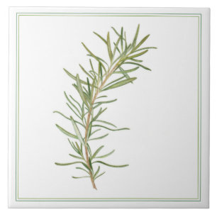 FRESH ROSEMARY 6x6 Azulejo cerâmico (-text)