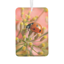 Freshenor de Ar do Carro-Bug