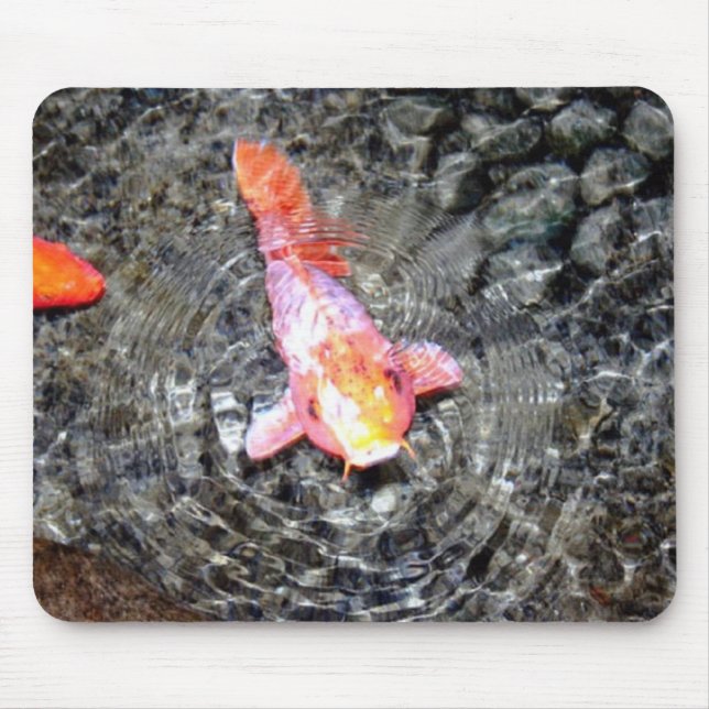 Friendly Koi Mousepad (Frente)