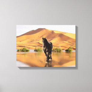 Frísia DIAMOND V - Canvas