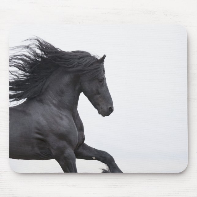 Frísia Executa Mousepad (Frente)