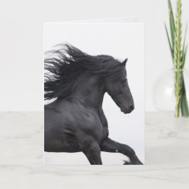 Frísia Negra Executa Cartão de Saudação de Cavalo