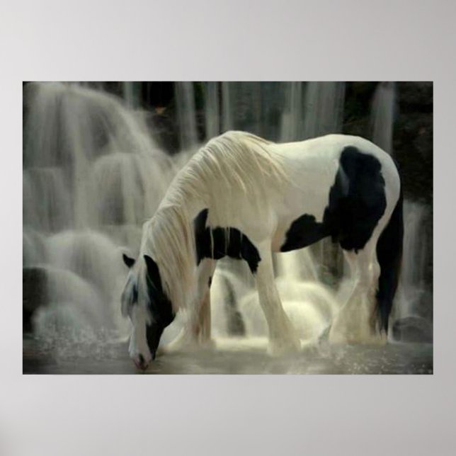 Frison, Papier poster (tapete) (Frente)