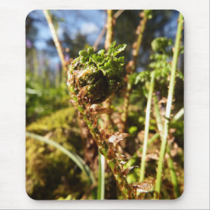 Fronda Mousepad da samambaia