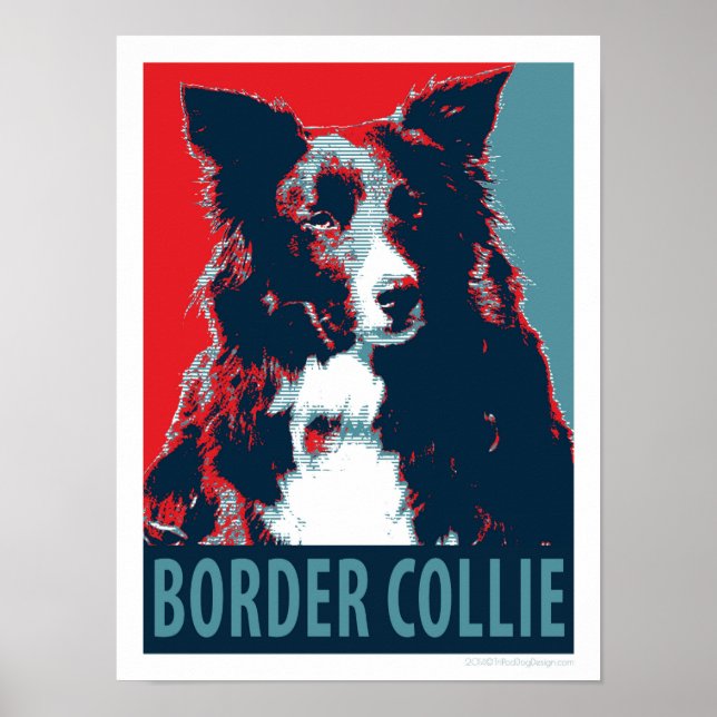 Fronteira Collie Hope Poster 12x16 (Frente)