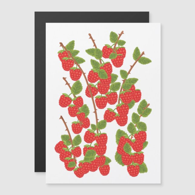 Fruta de framboesa (Frente/Verso)