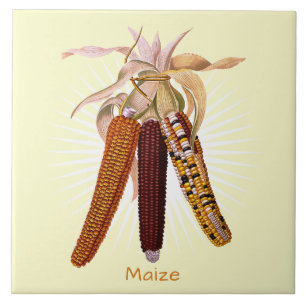 Fruta de milho ou Azulejo cerâmico de 