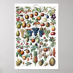 Fruta de Poster de Vintage