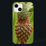 Fruta tropical de ananás selvagem na natureza<br><div class="desc">Penso no abacaxi como uma fruta exótica que só se pode encontrar em lojas, mas no Caribe, às vezes elas crescem selvagens. Um abacaxi selvagem em folhas tropicais é objeto dessa cena natural de Granada. Procure na nossa loja mais fotos da ilha tropical. Esta imagem também é apresentada como o...</div>