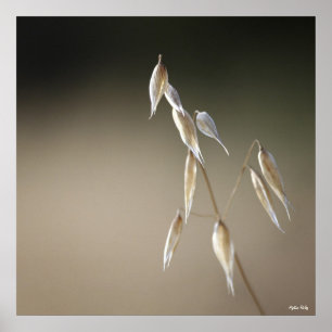 Fruticultura de aveia selvagem impressão