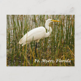 Ft. Cartão postal Myers