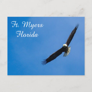 Ft. Cartão postal Myers Bald Eagle