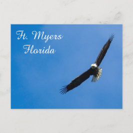 Ft. Cartão postal Myers Bald Eagle