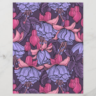 Fúcsia em rosa e violeta