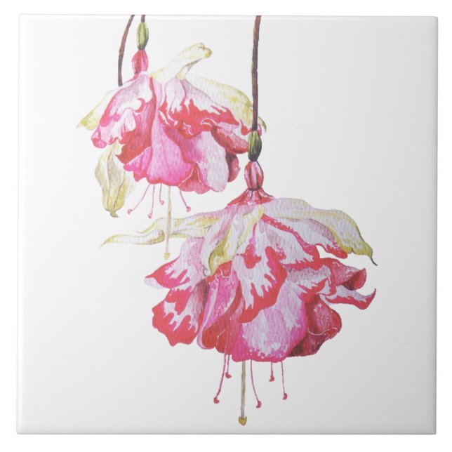 Fugas exóticas em um Azulejo cerâmico (Frente)