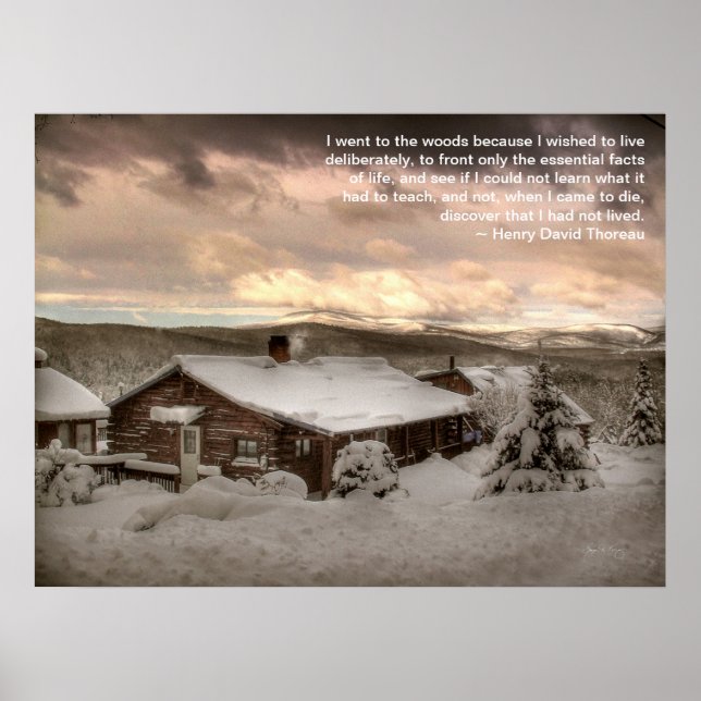 Fui ao Poster de Woods (Frente)