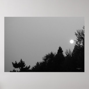 Fulfillment: Nature Zen/Tao Poster