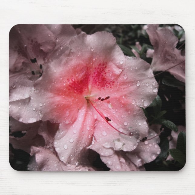 Fulgor interno Mousepad (Frente)