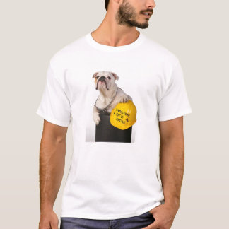 funciona como uma camiseta de cão