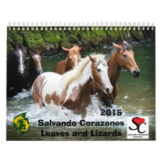 Fundo - calendário Salvando Corazones 2015 do